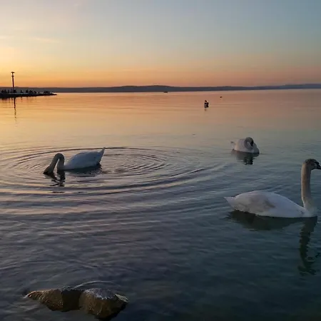 Sweet&center Wellness *