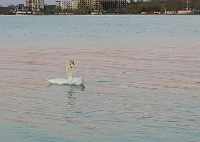 Sweet&center Wellness * シオーフォク