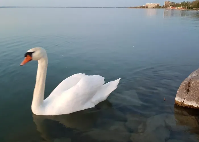 Apartament Sweet&center Wellness Siófok