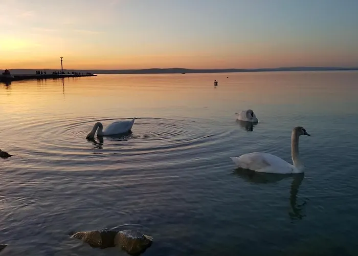 Sweet&center Wellness *